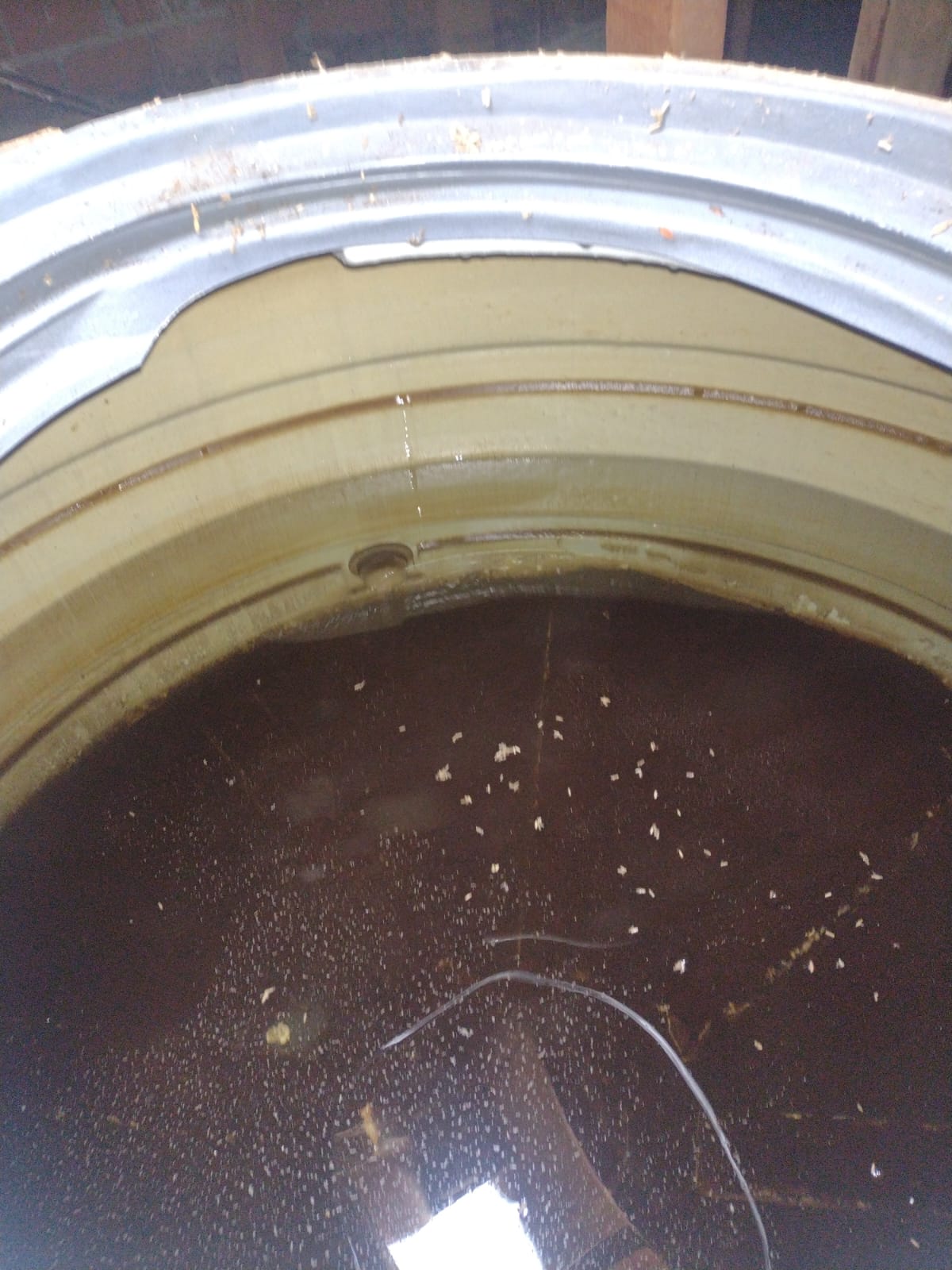 Fundo de caixa d'água com água escura e resíduos antes da higienização
